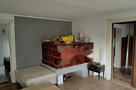 Дом, сельское хозяйство Златече.: 19