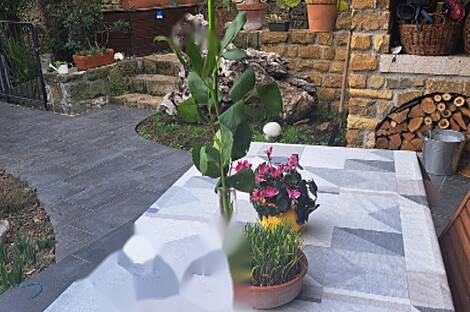 Порторожский дом: 8