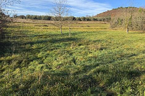 Дом Драгонья Ферма: 2