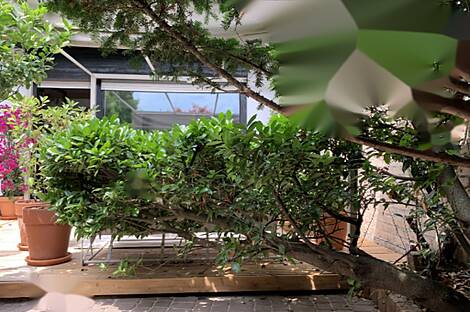 Мургле: дом с террасой: 10