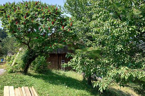 Дом, усадьба Равне, полицмейстер: 1