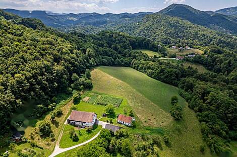 Дом, агроусадьба Рифник, Шентюр возле Целье.: 12