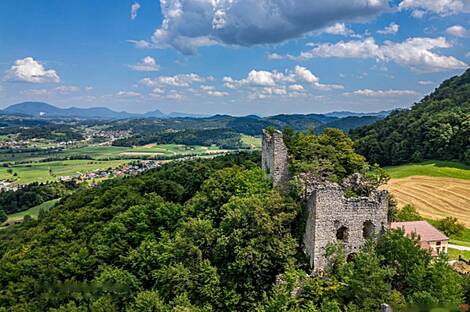 Дом, агроусадьба Рифник, Шентюр возле Целье.: 14