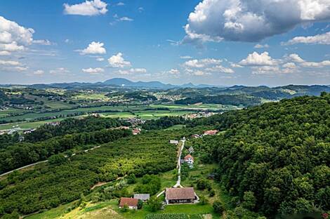 Дом, агроусадьба Рифник, Шентюр возле Целье.: 15