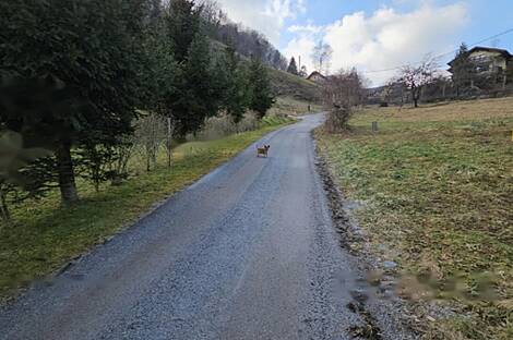 Дом, хозяйство Римские Топлице.: 2