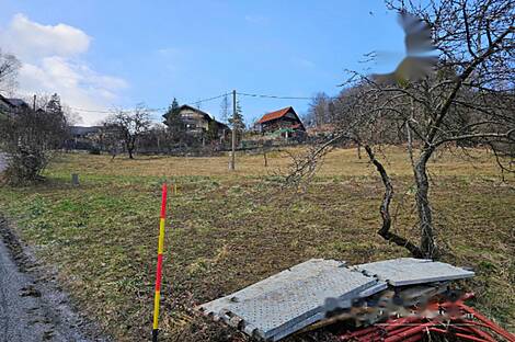 Дом, хозяйство Римские Топлице.: 17