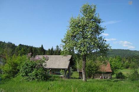 Дом, Ферма Беч: 2