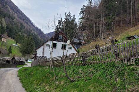 Имение, фермерское хозяйство Белые Воды.: 2