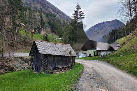 Имение, фермерское хозяйство Белые Воды.: 6