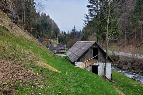 Имение, фермерское хозяйство Белые Воды.: 8