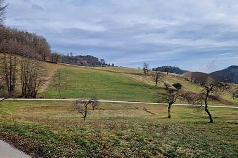 Березовая усадьба, фермерское хозяйство.: 19