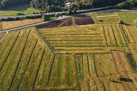 Усадьба, сельское хозяйство в Березовице неподалеку от Любляны, Горичица.: 4