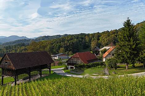 Дом Похлина в Брстовнице: 3