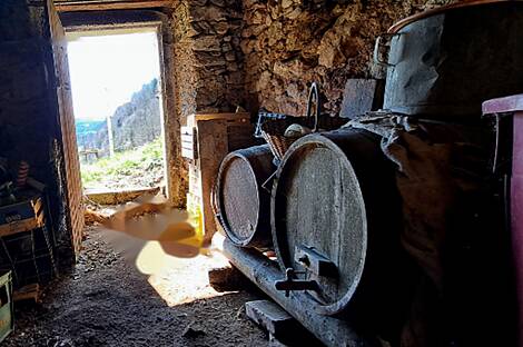 Ферма Чолнище, недвижимость: 14