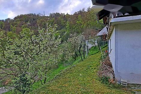 Ферма Чолнище, недвижимость: 24