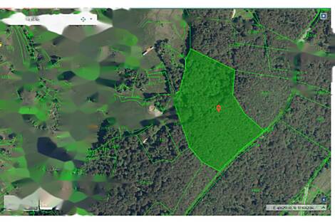 Ферма Чолнище, недвижимость: 28