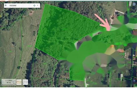 Ферма Чолнище, недвижимость: 29