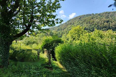 Поместье, агроусадьба Храстник: 7