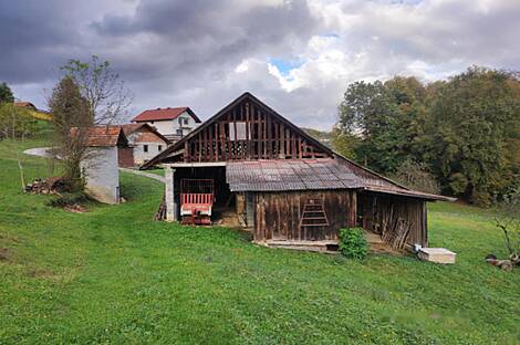 Дом, владение ферма в Каменце: 6