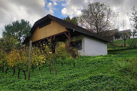 Дом, владение ферма в Каменце: 8