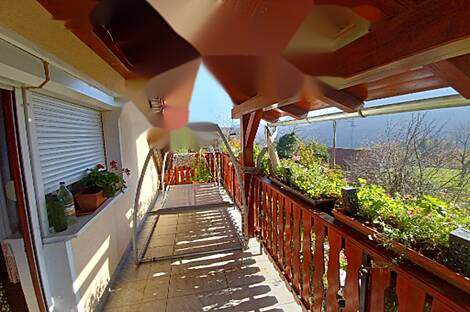 Усадьба, хозяйство Камник, пригород Трояны: 3