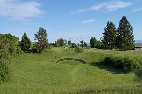 Мыза, хозяйство Кршка.: 2