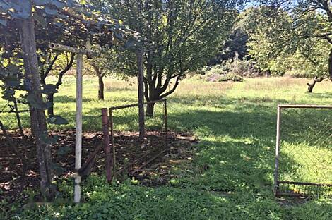 Неделица, дом: 3