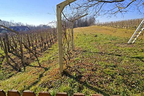 Дом в деревне Сухой Врх: 23