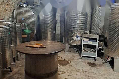 Велике Жаблье дом с террасой: 6