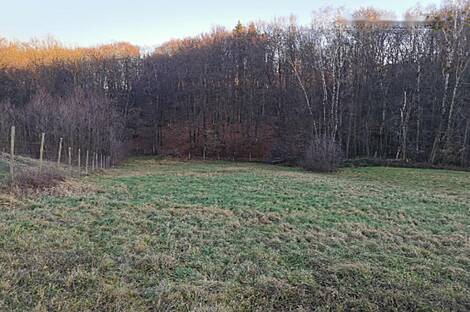 Рачки Верх, дом: 21