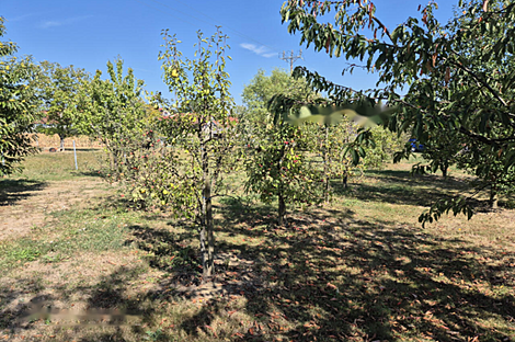 Дом, Зеньковцы: 26