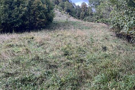 Света Планина, дом 33.: 6