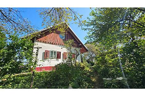 Другой Дом Глобока: 3