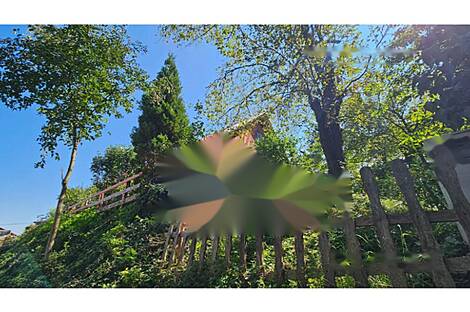 Другой Дом Глобока: 25