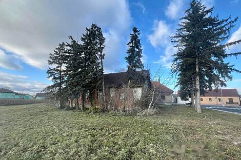 Дом в деревне Березовцы: 12