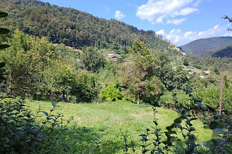 Дом, Храстник.: 16