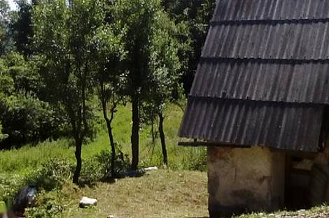 Локовец, дом: 7