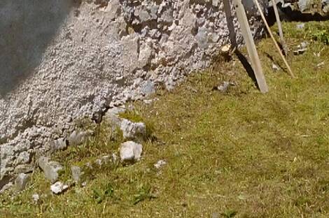 Локовец, дом: 12