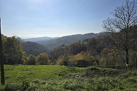 Великая Гоба, Дом: 8