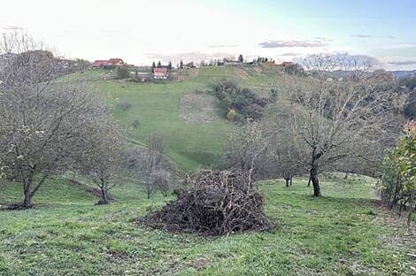 Дом на улице Градища: 11