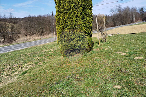 Иваньковци, дом: 24