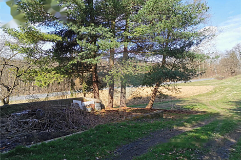 Иваньковци, дом: 25