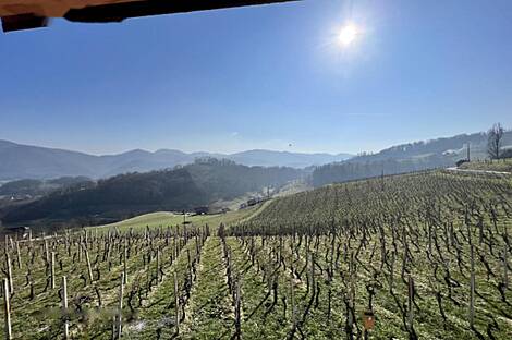 Здание в Бистрице-Сотле: 19