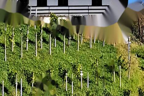 Жилище, Грушковец: 3