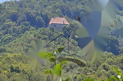 Жилище Среды: 10