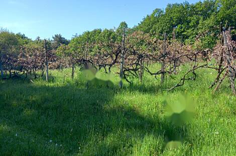 Мощанци, дом: 6