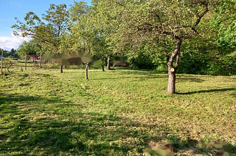 Мощанци, дом: 10