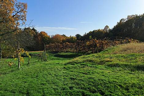 Мощанци, дом: 11