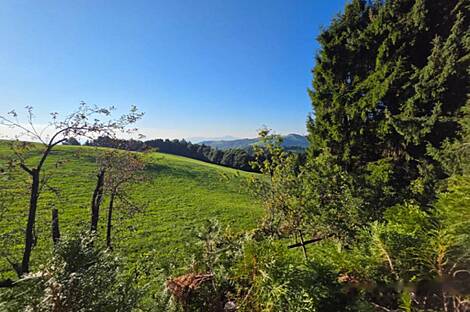 Жилище, Планица: 5