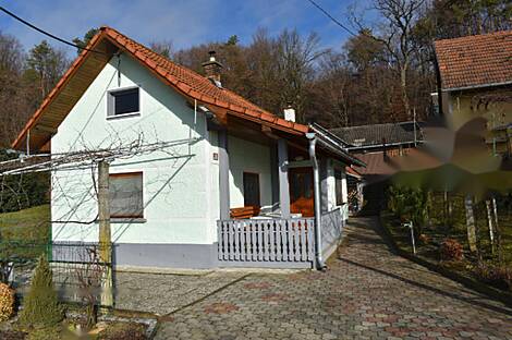 Франковцы, дом: 1